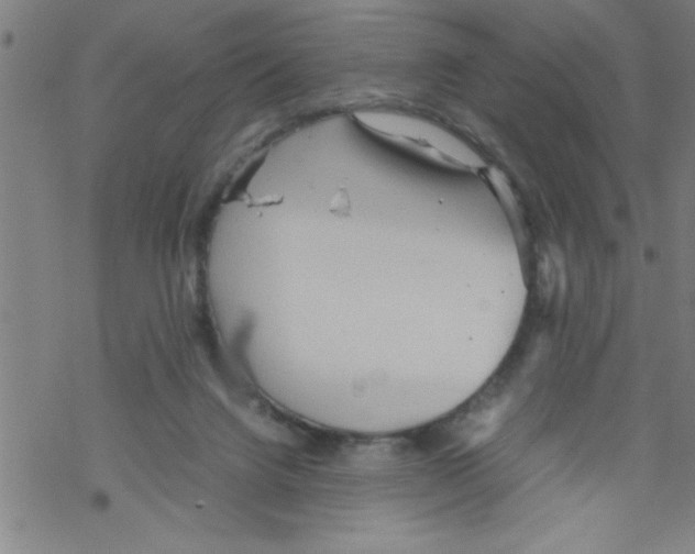 X0000067520072200605051905