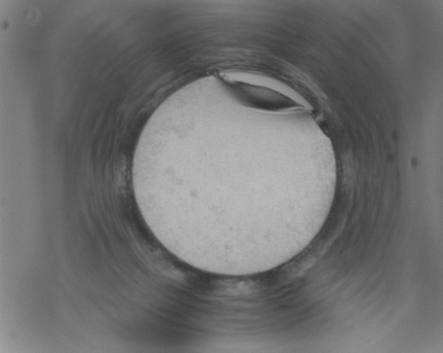 X0000067520073200605051905