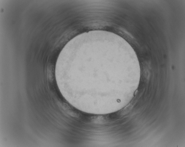 X0000067520074200605051905