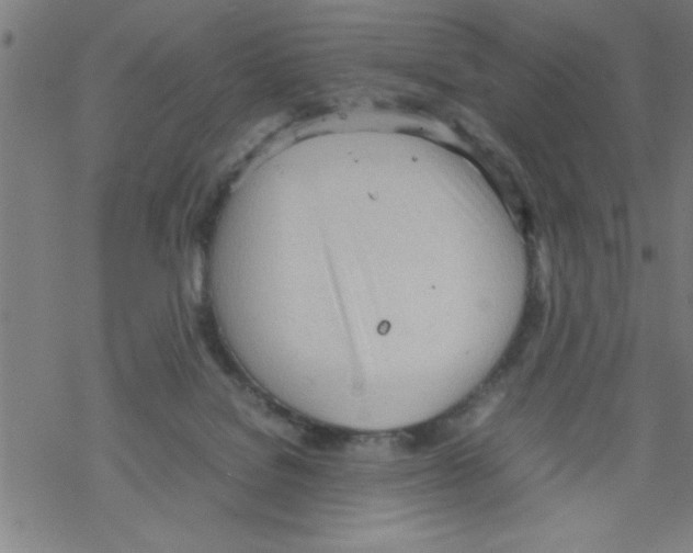 X0000067520076200605051905