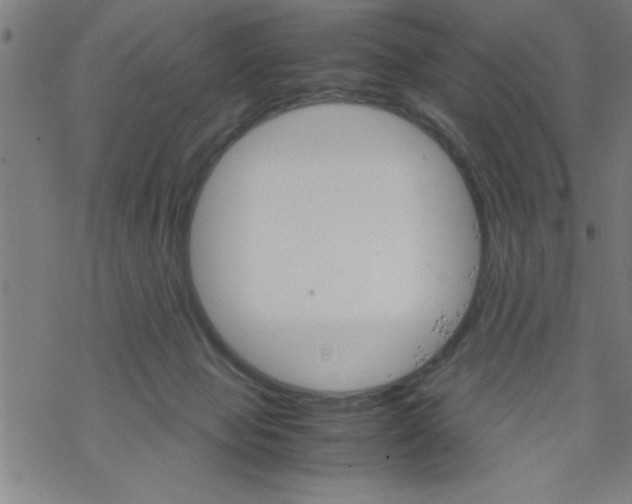 X0000067520077200605051905