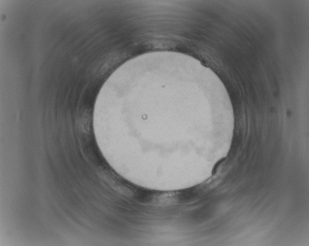 X0000067520078200605051905