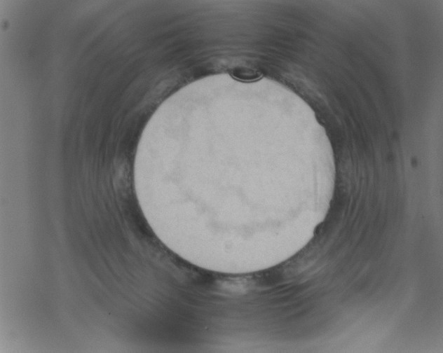 X0000067520079200605051905