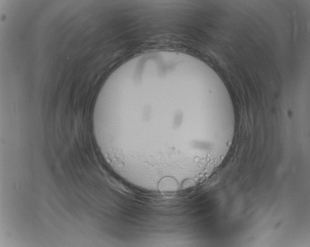 X0000067520081200605051905