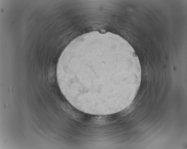 X0000067520082200605051905