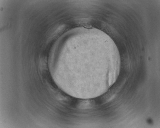 X0000067520083200605051905