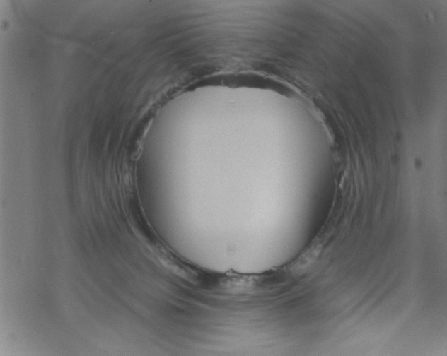 X0000067520084200605051905