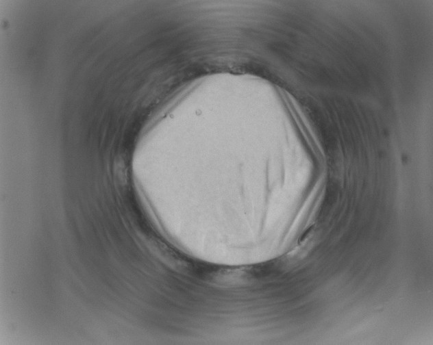 X0000067520086200605051905