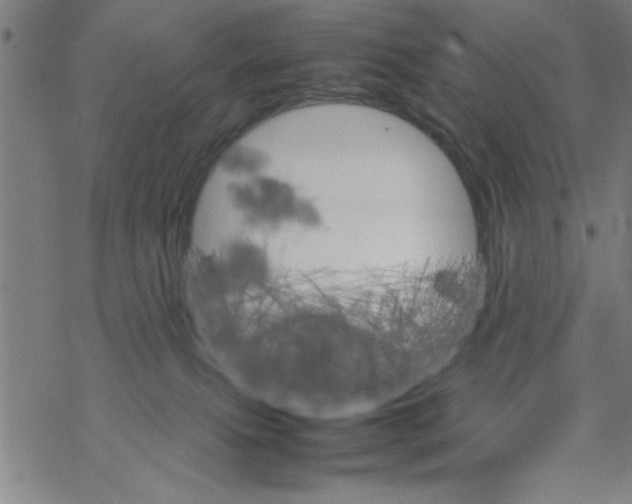 X0000067520087200605051905