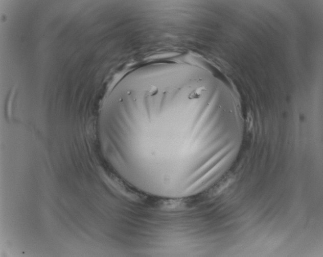 X0000067520088200605051905