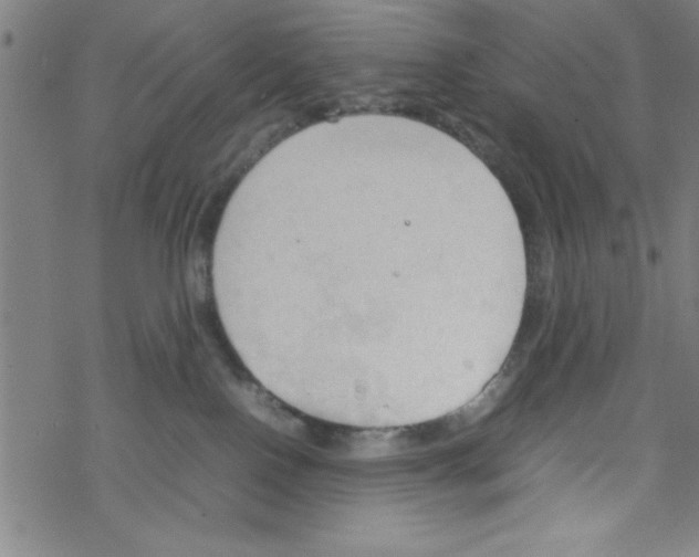 X0000067520090200605051905