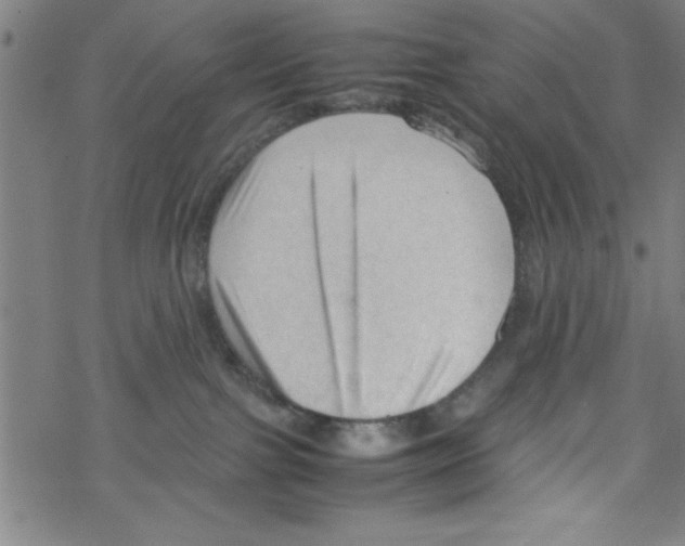 X0000067520091200605051905