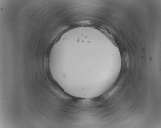 X0000067520092200605051905