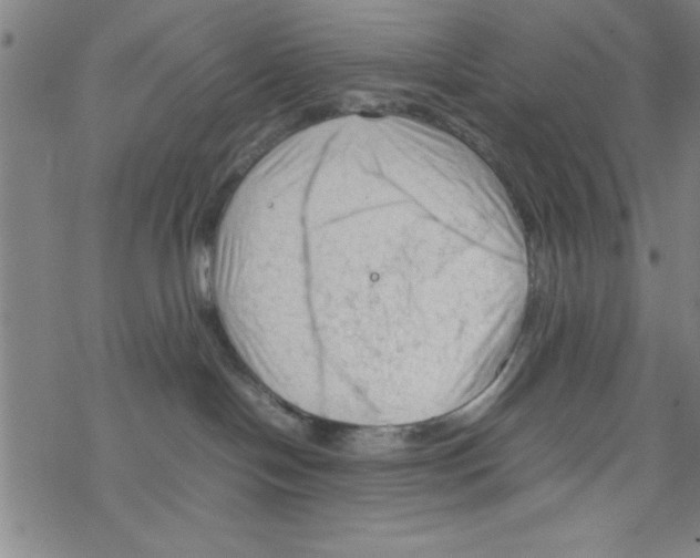 X0000067520094200605051905