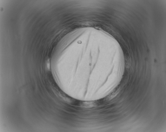 X0000067520095200605051905