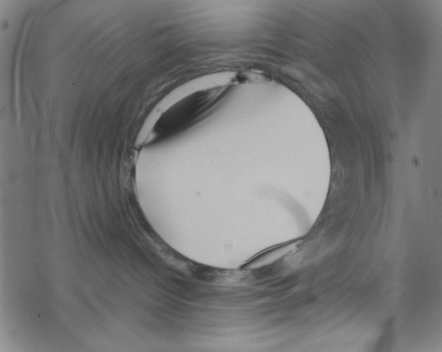 X0000067520096200605051905