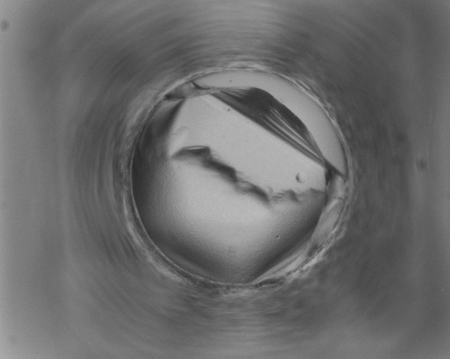 X0000067520097200605051905