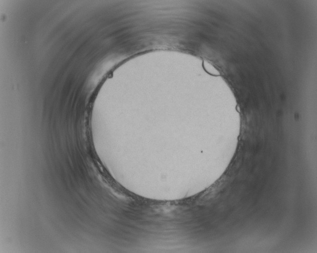 X0000067520098200605051905