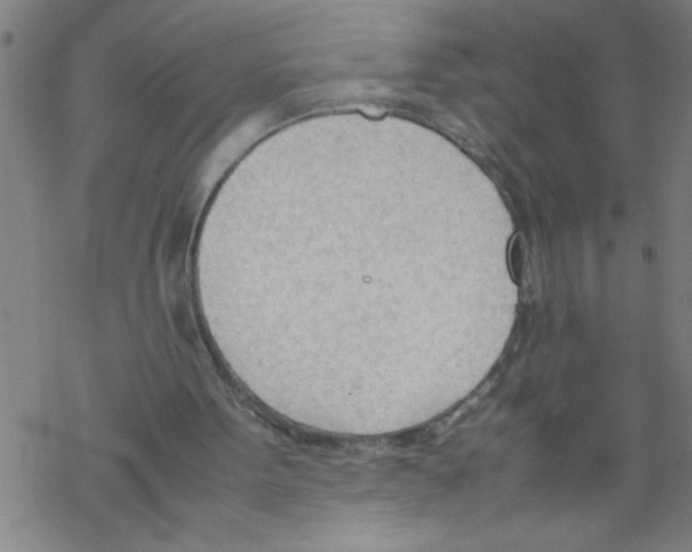 X0000067520099200605051905