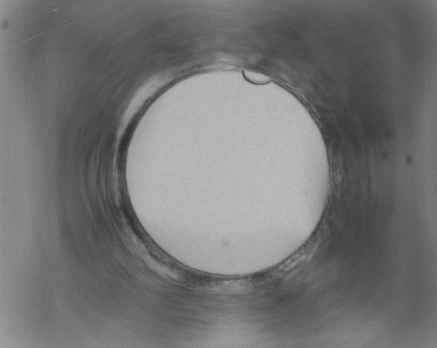 X0000067520102200605051904