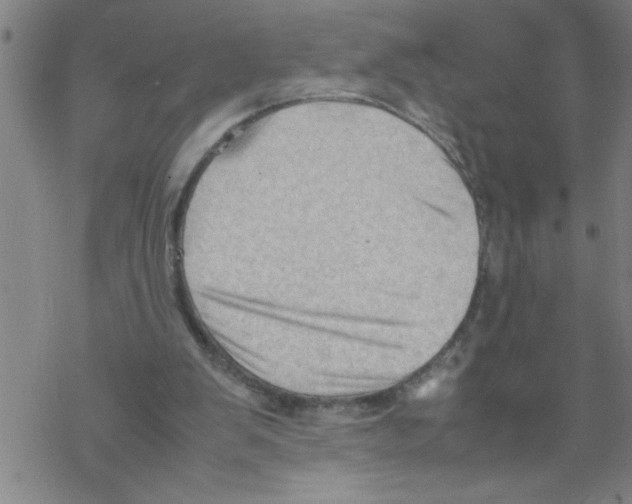 X0000067520103200605051904