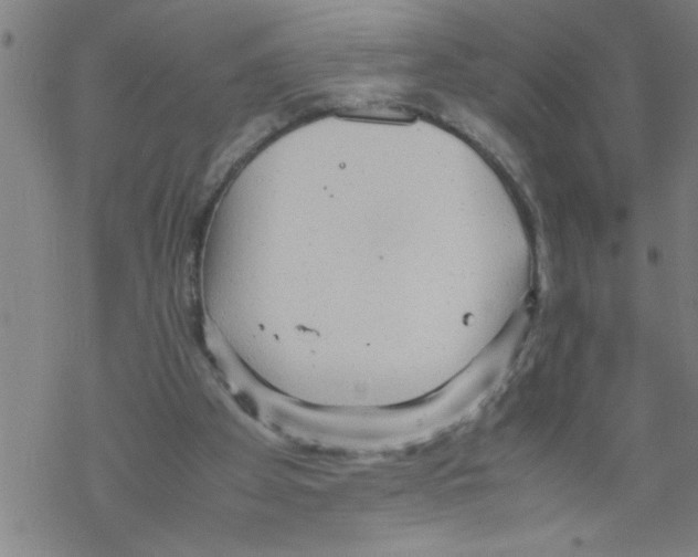 X0000067520105200605051904