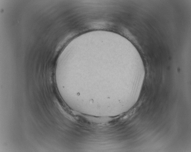 X0000067520106200605051904