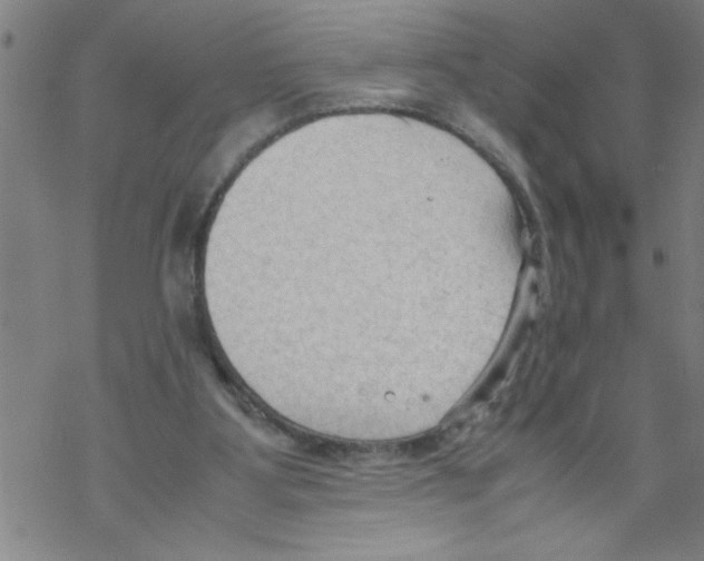 X0000067520107200605051904