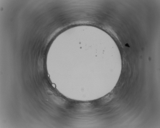 X0000067520108200605051904