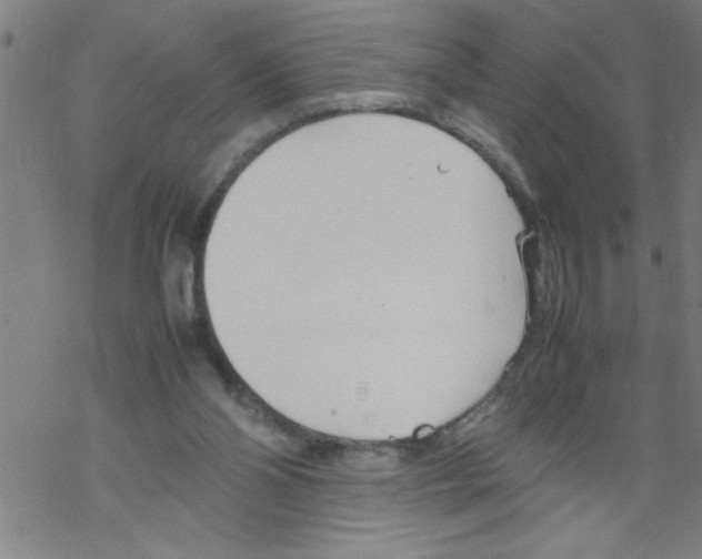 X0000067520110200605051904