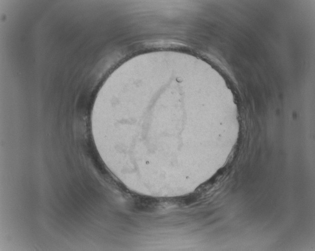 X0000067520111200605051904