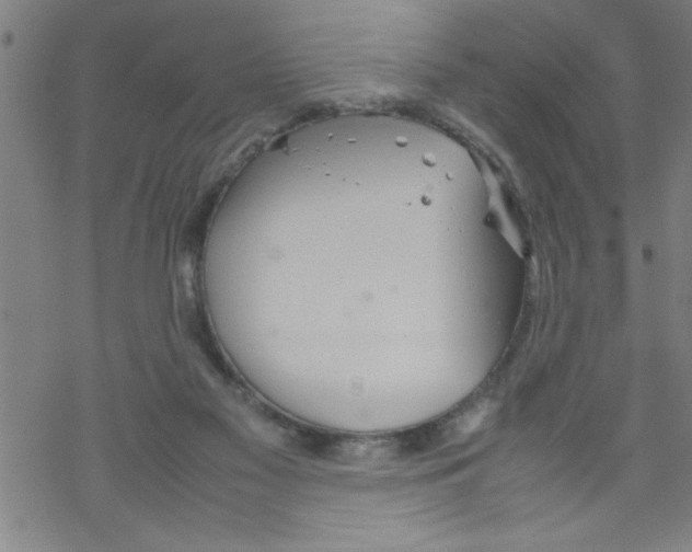 X0000067520117200605051904