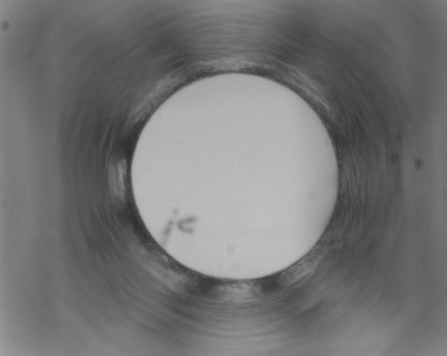 X0000067520118200605051904