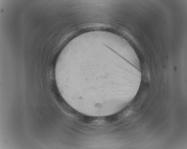 X0000067520119200605051904