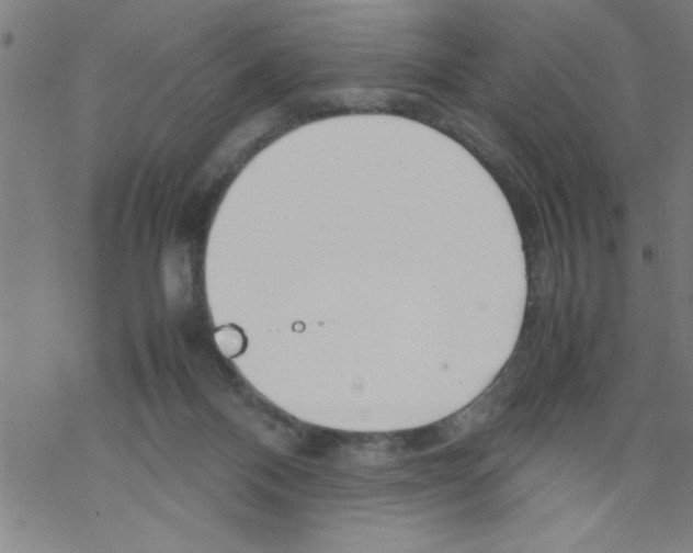 X0000067520120200605051904