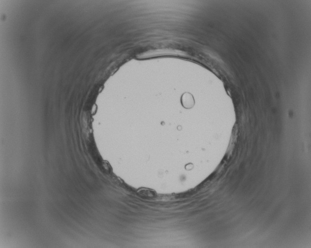 X0000067520121200605051904