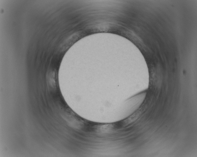 X0000067520122200605051904