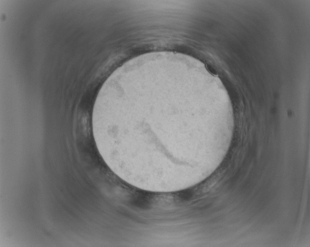 X0000067520123200605051904