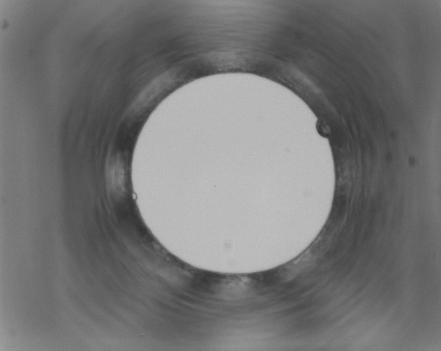 X0000067520124200605051904