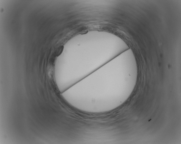 X0000067520125200605051904