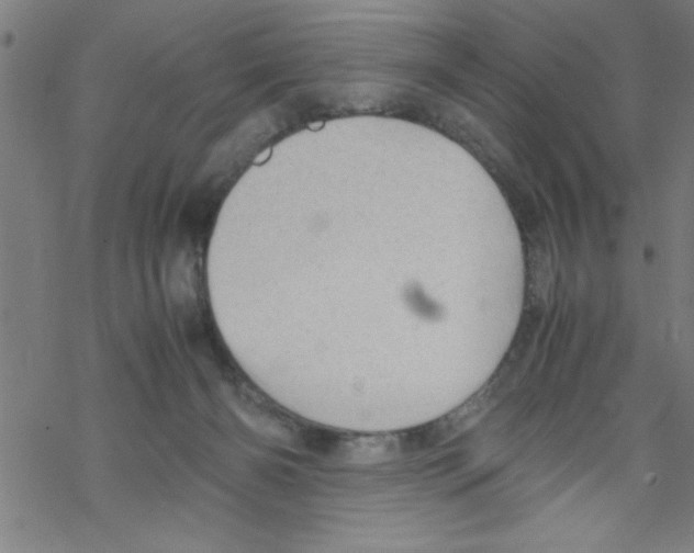 X0000067520126200605051904