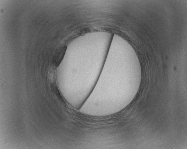 X0000067520129200605051904