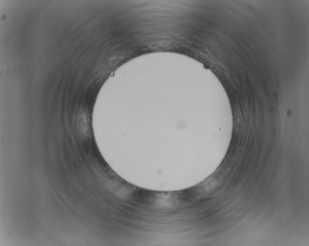 X0000067520130200605051904