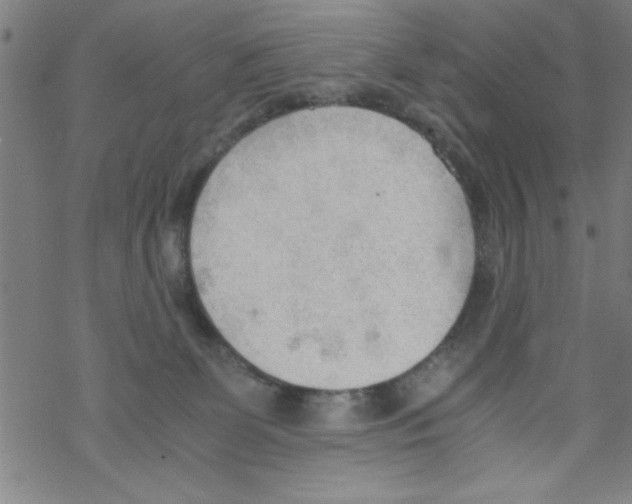 X0000067520131200605051904