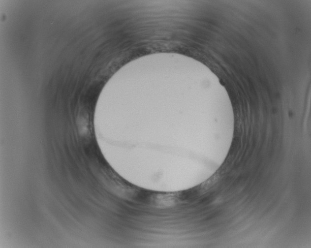 X0000067520134200605051904