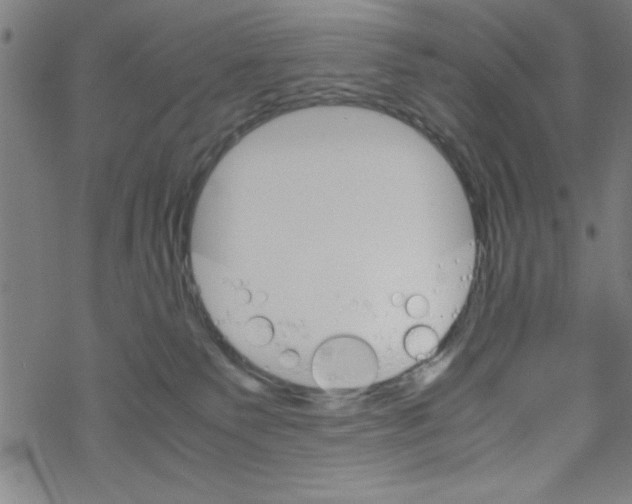 X0000067520135200605051904