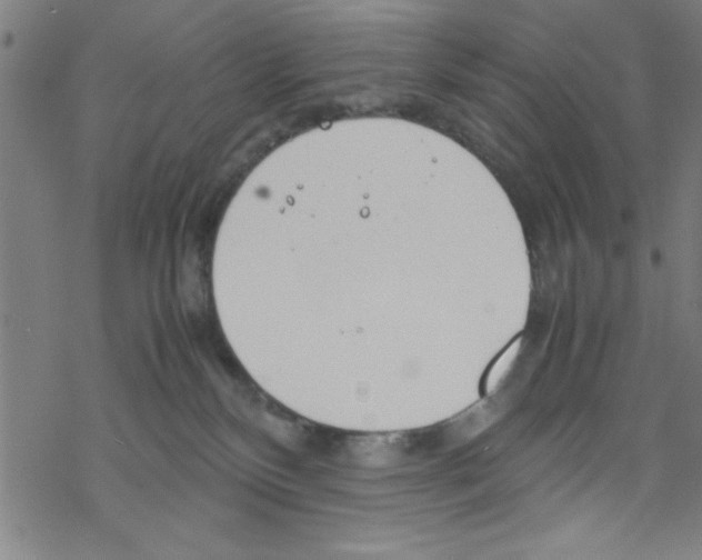 X0000067520136200605051904