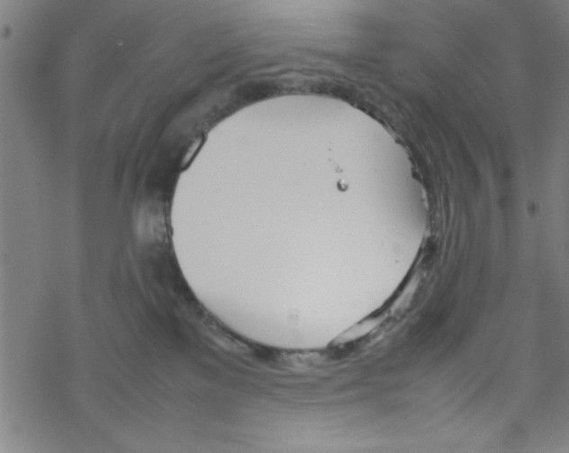 X0000067520137200605051904