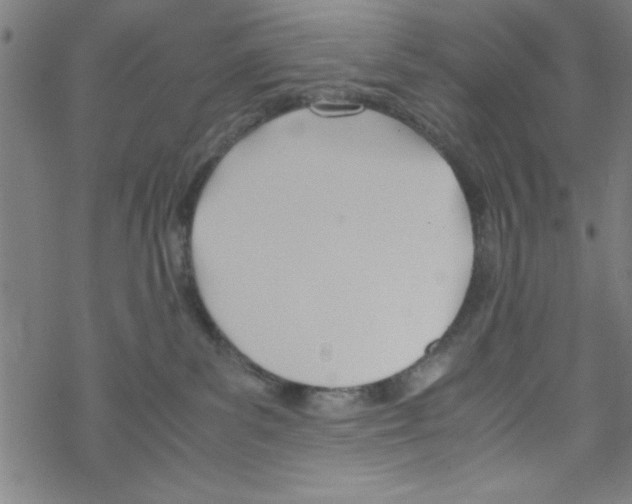 X0000067520139200605051904