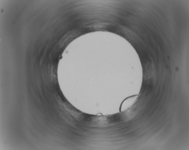 X0000067520140200605051904